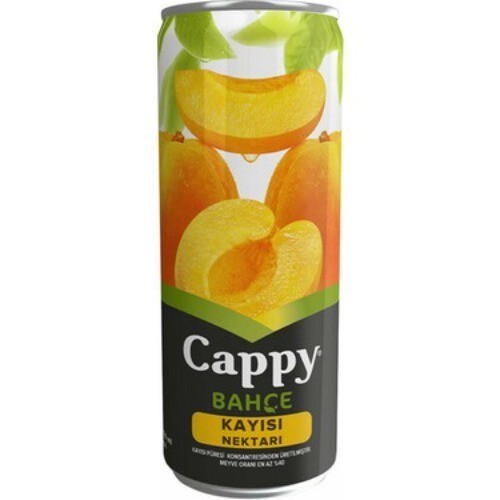 Cappy Kayısı (330ml)