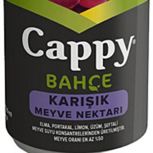 CAPPY KARIŞIK