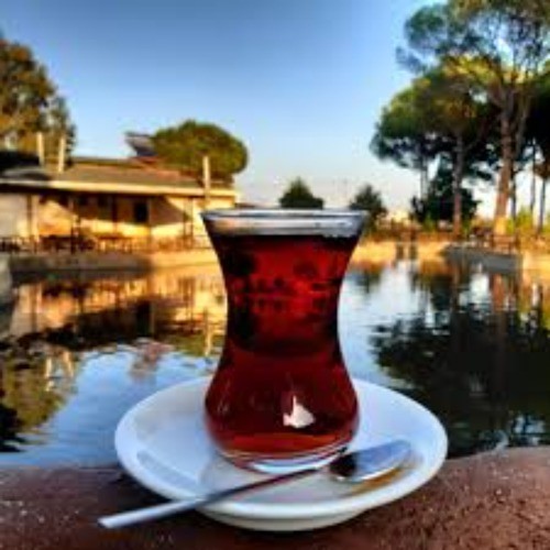 Çay